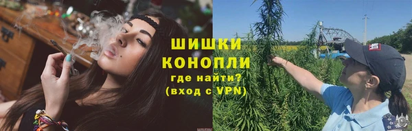 ПСИЛОЦИБИНОВЫЕ ГРИБЫ Белокуриха