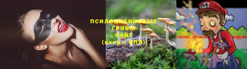 Галлюциногенные грибы MAGIC MUSHROOMS  наркотики  Сортавала 